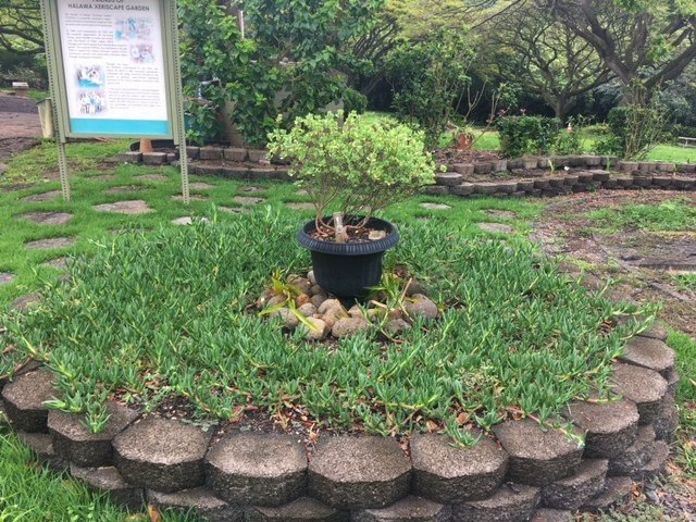 Fall 2019 Newsletter