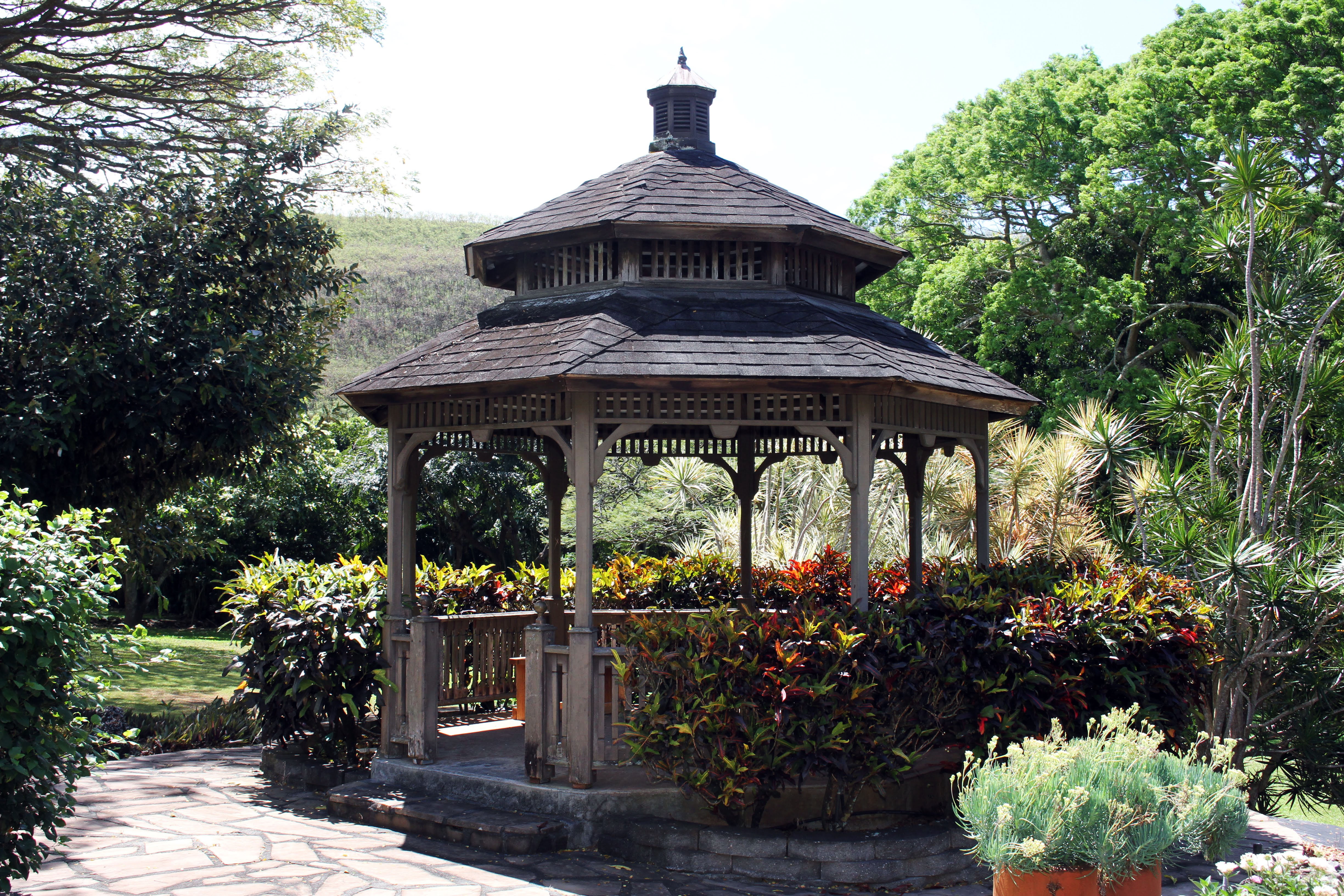 FOHXG July 2020 Update