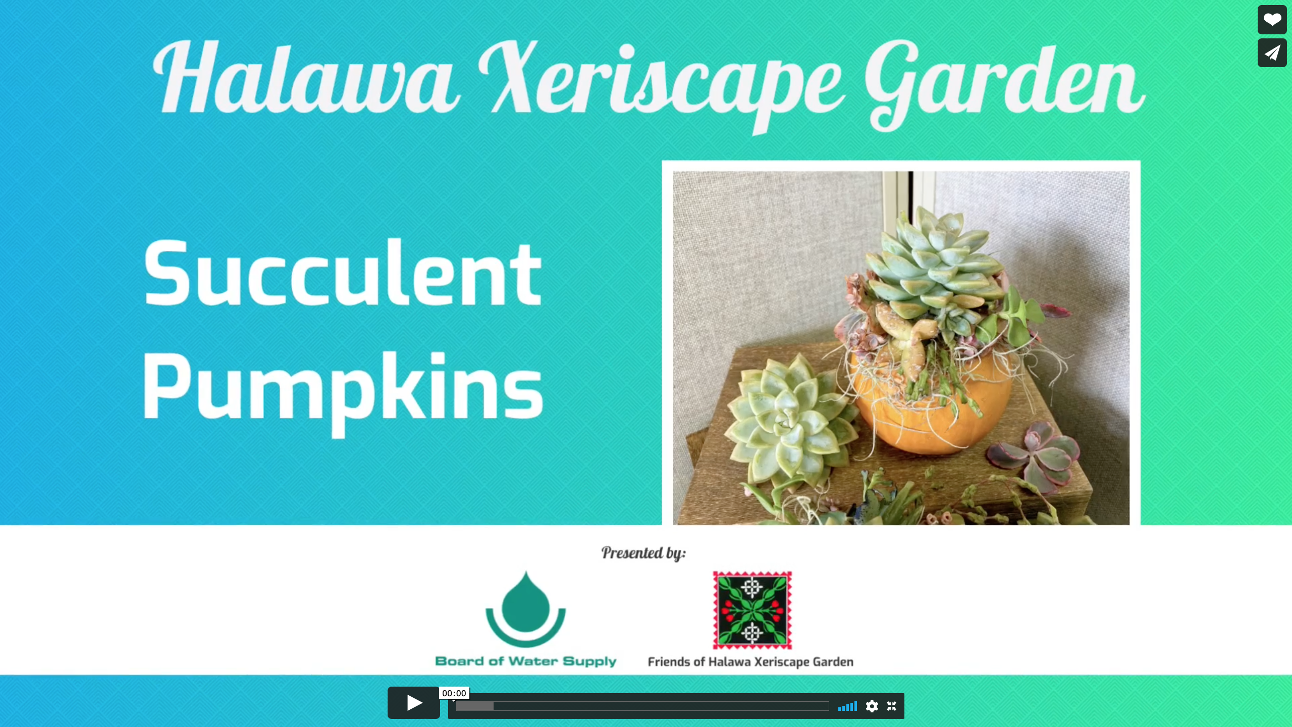 Succulent Pumpkins Video